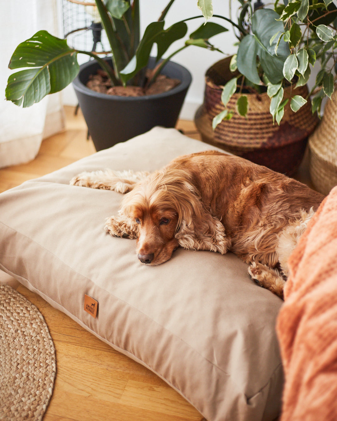 Almohadón Clásico Tostado