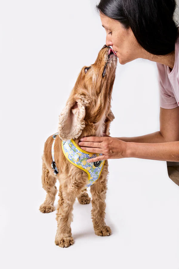 Kit Paseo Perfecto Amalfi