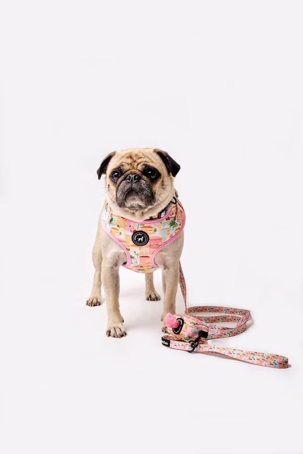 Kit Paseo Perfecto Portofino