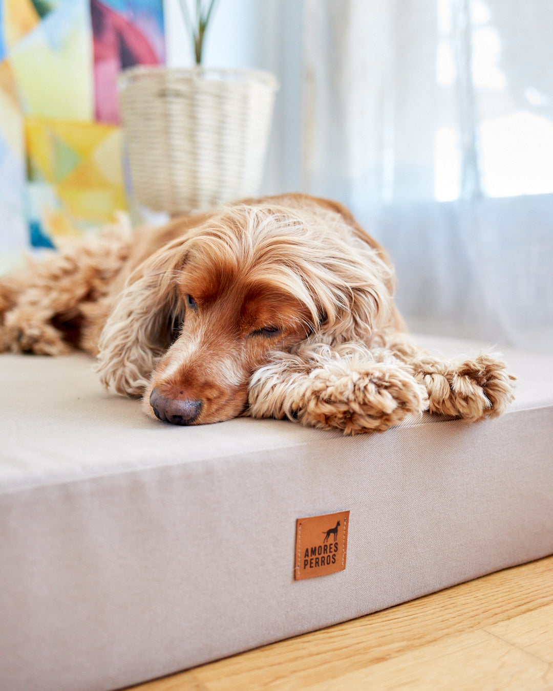 Almohadón Placa Grafito