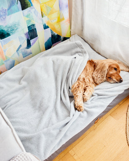 Almohadón Cozy Clásico Cemento